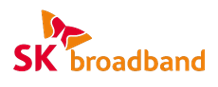 SK브로드밴드